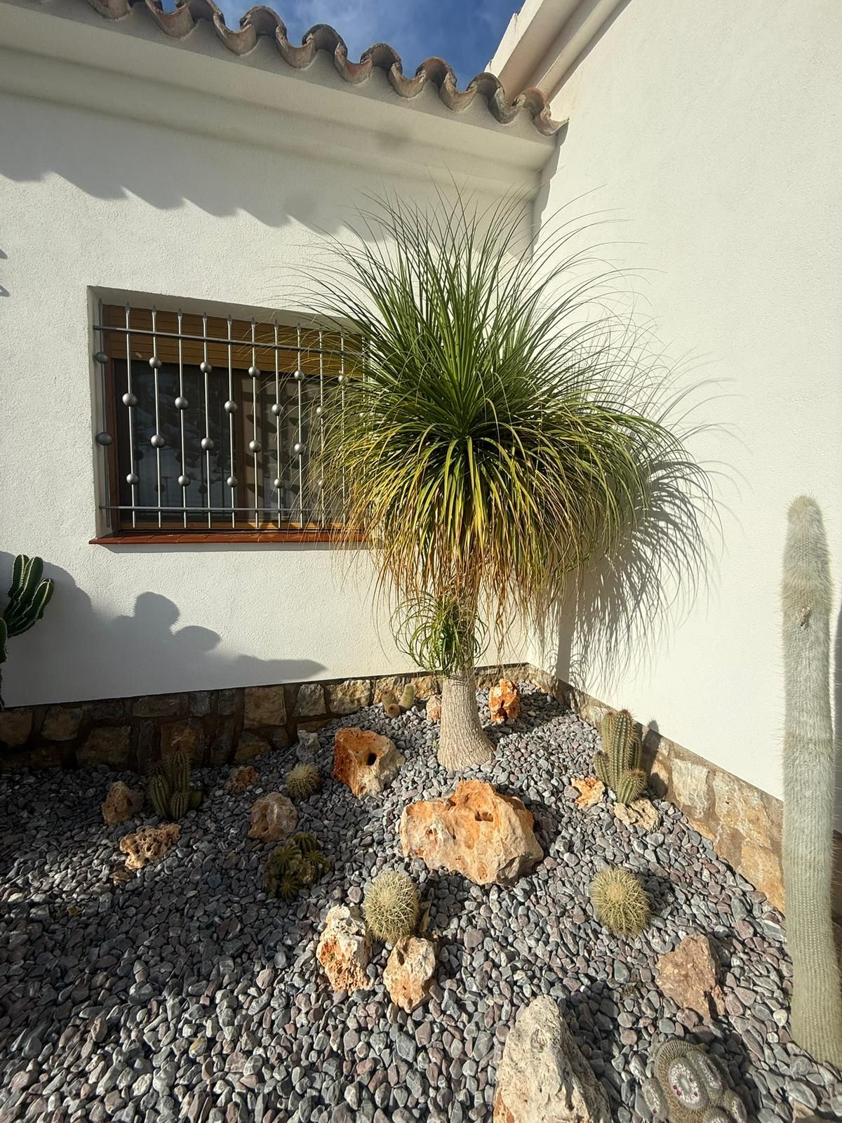 **Increible Chalet Independiente con piscina privada en el Corazón de Miami Playa** - Image 18