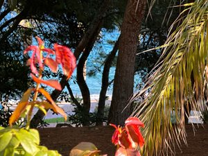 **Piso en Primera Línea de Playa - ¡Tu Refugio Ideal! ** - Image 6