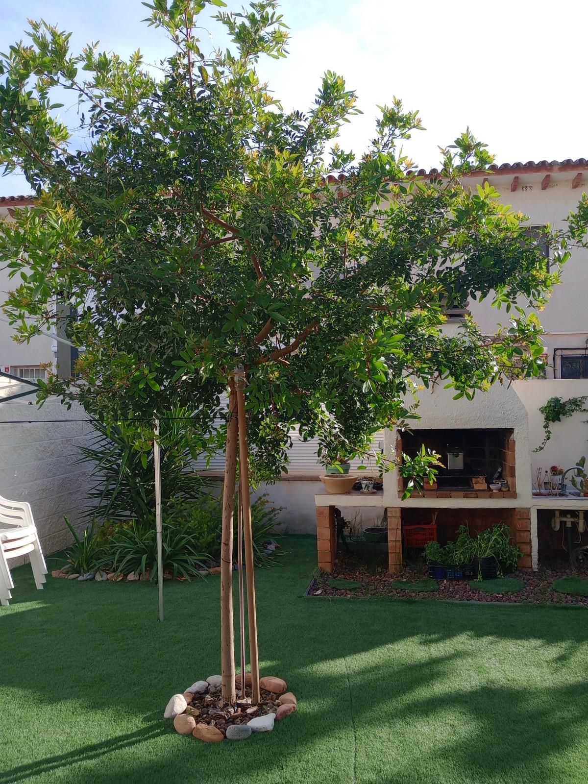 ¡Descubre tu nuevo hogar en este espectacular piso en planta baja, completamente reformado y ubicado a solo 100 metros de la playa en Cambrils - Image 17