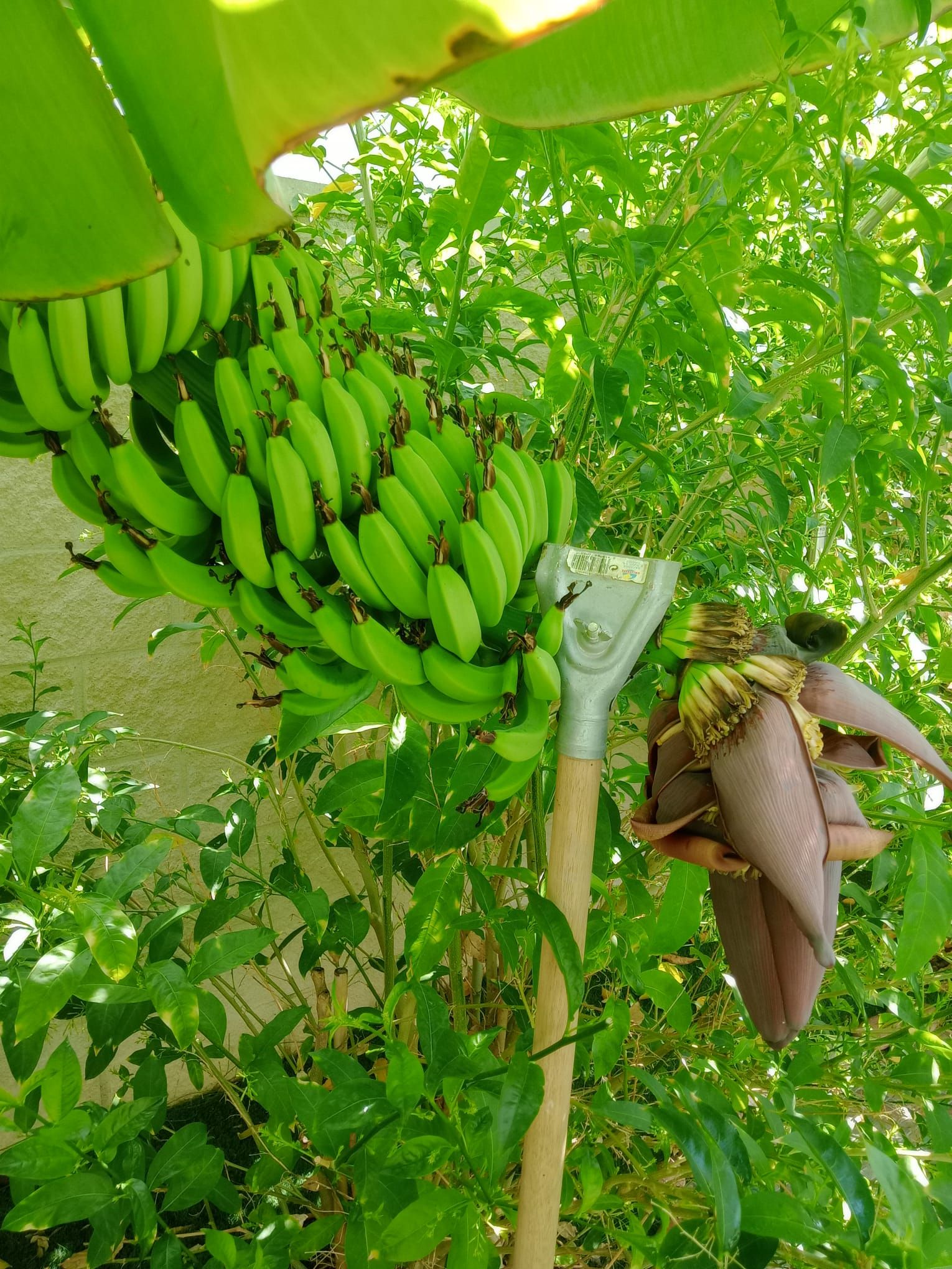 ¡Descubre tu nuevo hogar en este espectacular piso en planta baja, completamente reformado y ubicado a solo 100 metros de la playa en Cambrils - Image 20