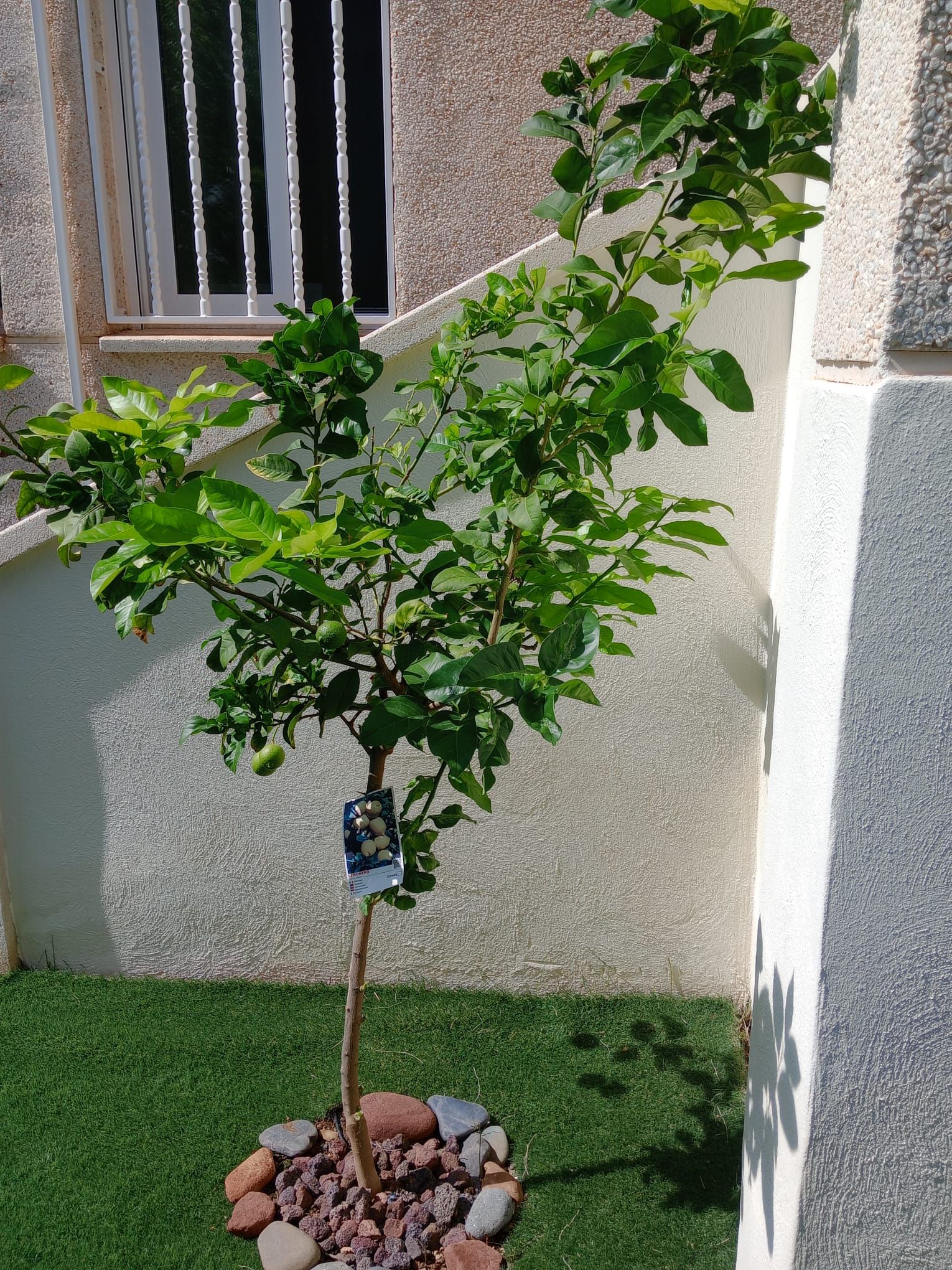 ¡Descubre tu nuevo hogar en este espectacular piso en planta baja, completamente reformado y ubicado a solo 100 metros de la playa en Cambrils - Image 29