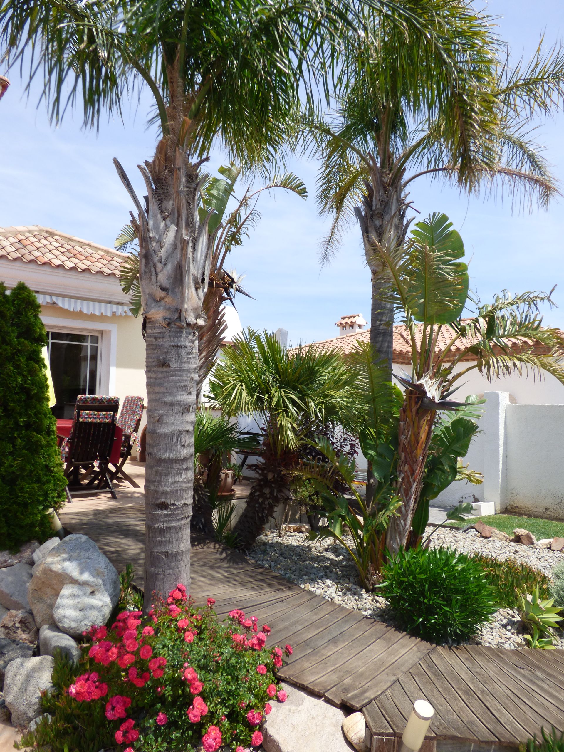 **Casa de lujo en Miami Playa un oasis de confort y elegancia** - Image 12