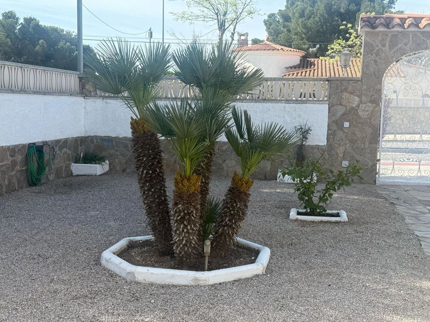 ++ Maison individuelle ou chalet à vendre à Centro ++ - Image 14
