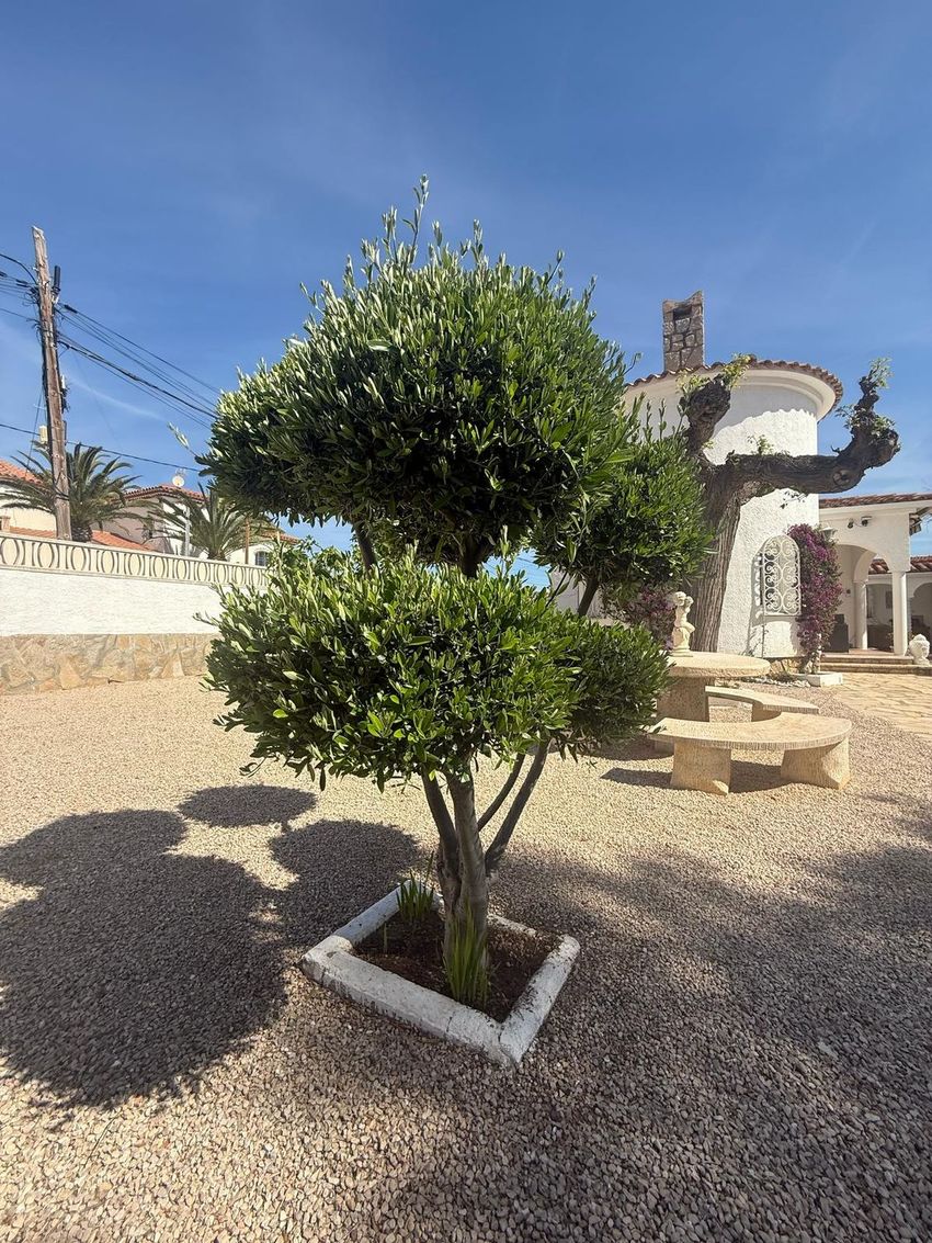 ++ Maison individuelle ou chalet à vendre à Centro ++ - Image 16